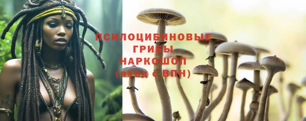 MDMA Premium VHQ Белокуриха