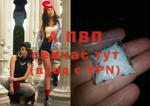 мяу мяу мука Богданович
